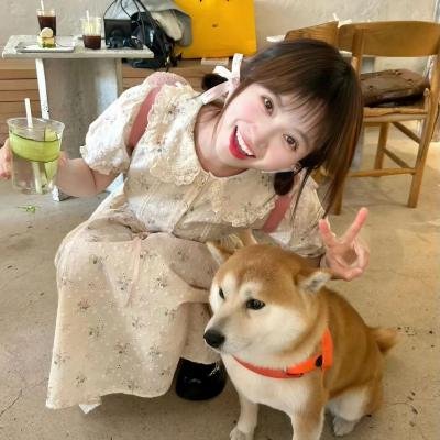 电视剧精选